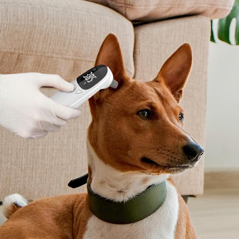 Pet Supplies Vet - เครื่องวัดอุณหภูมิสัตว์เลี้ยงสําหรับสุนัข Vet Tech เครื่องวัดอุณหภูมิอุปกรณ์ตรวจจับไข้ที่แม่นยําสําหรับอุปกรณ์สัตว์เลี้ยงสัตว์เลี้ยงเครื่องวัดอุณหภูมิสัตวแพทย์