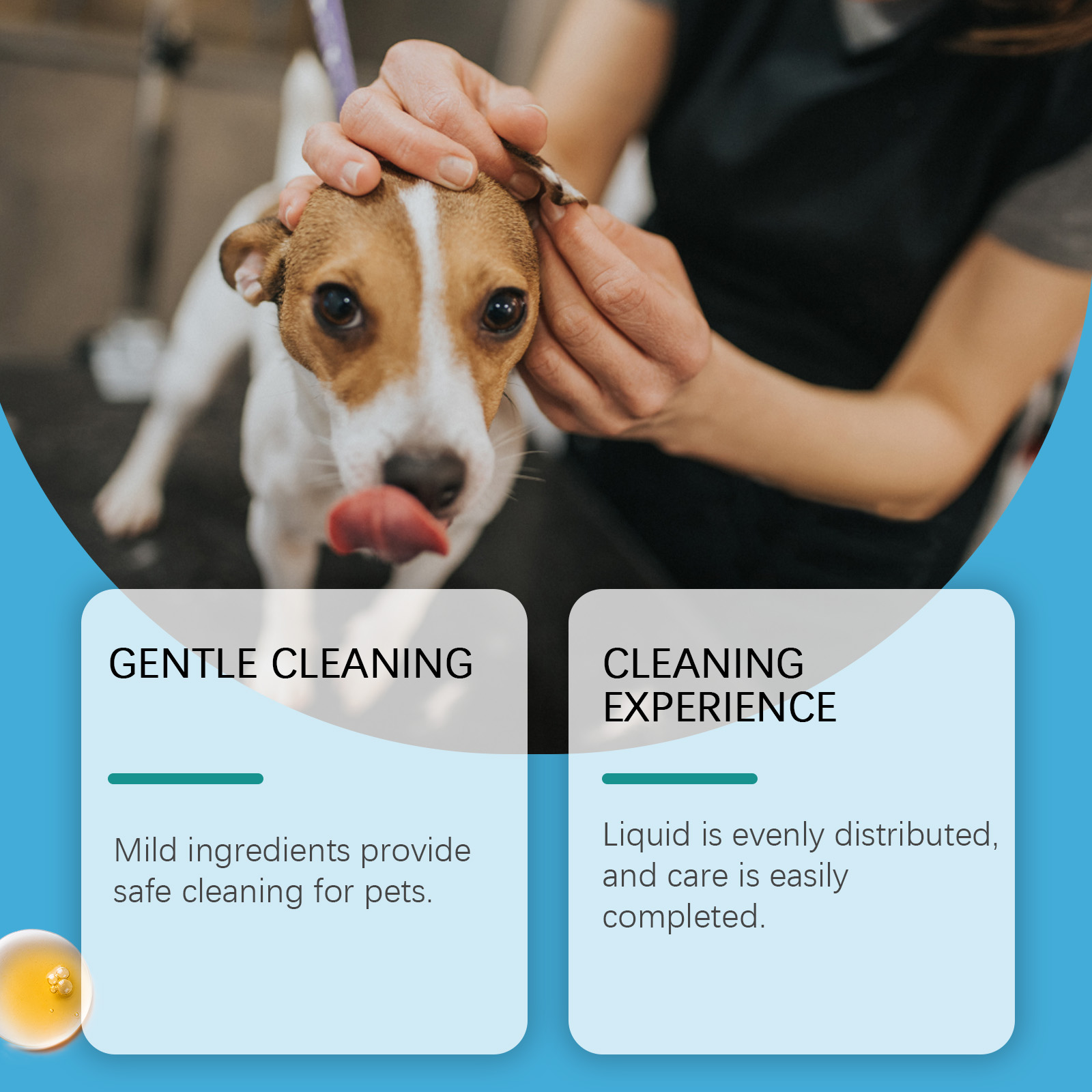 น้ำยาทำความสะอาดหูสำหรับสุนัขแ - Pet Ear Cleaner บทวิจารณ์และราคา