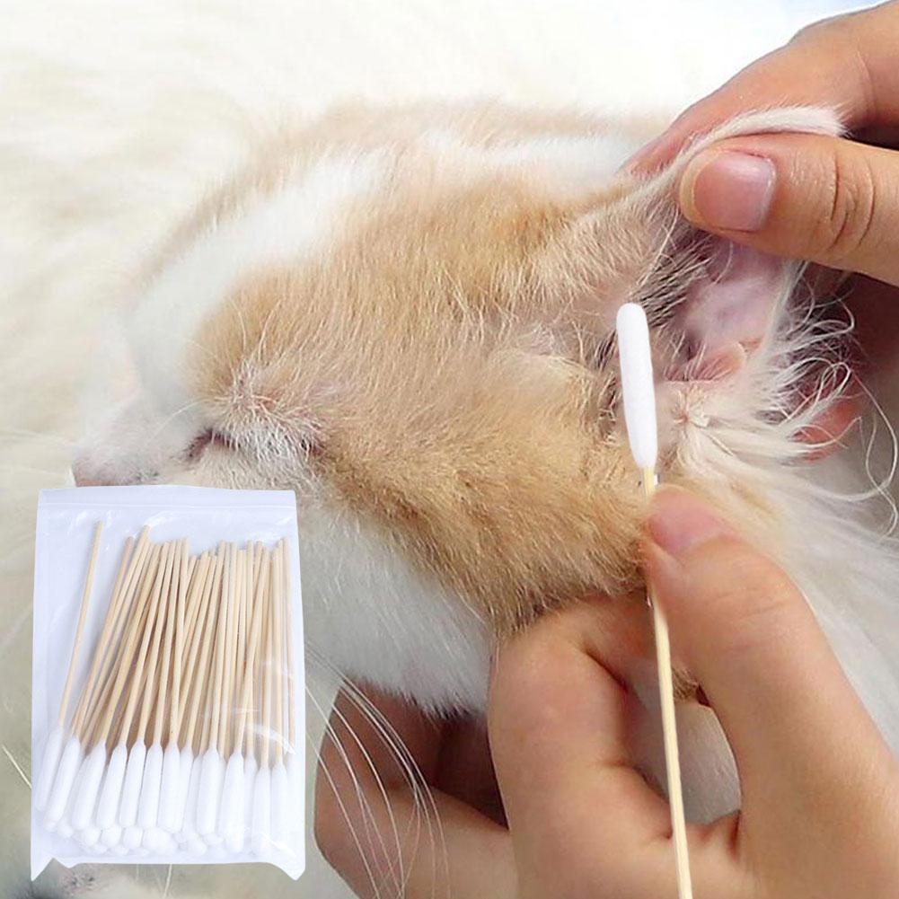 50/100 PCS ผ้าฝ้ายสุนัขหูทําคว - Pet Ear Cleaner บทวิจารณ์และราคา