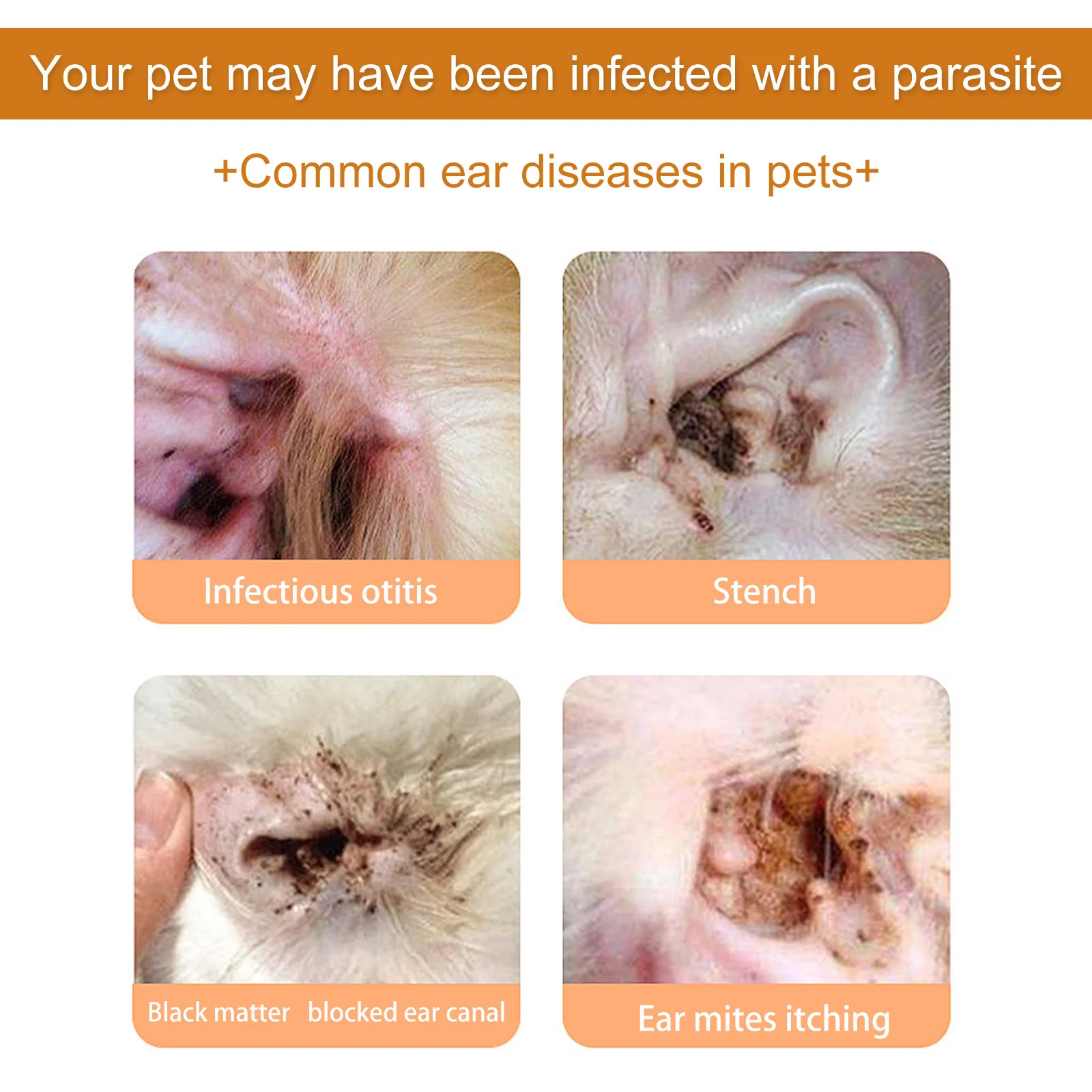 สัตว์เลี้ยงหูทําความสะอาดหยดป้ - Pet Ear Cleaner บทวิจารณ์และราคา