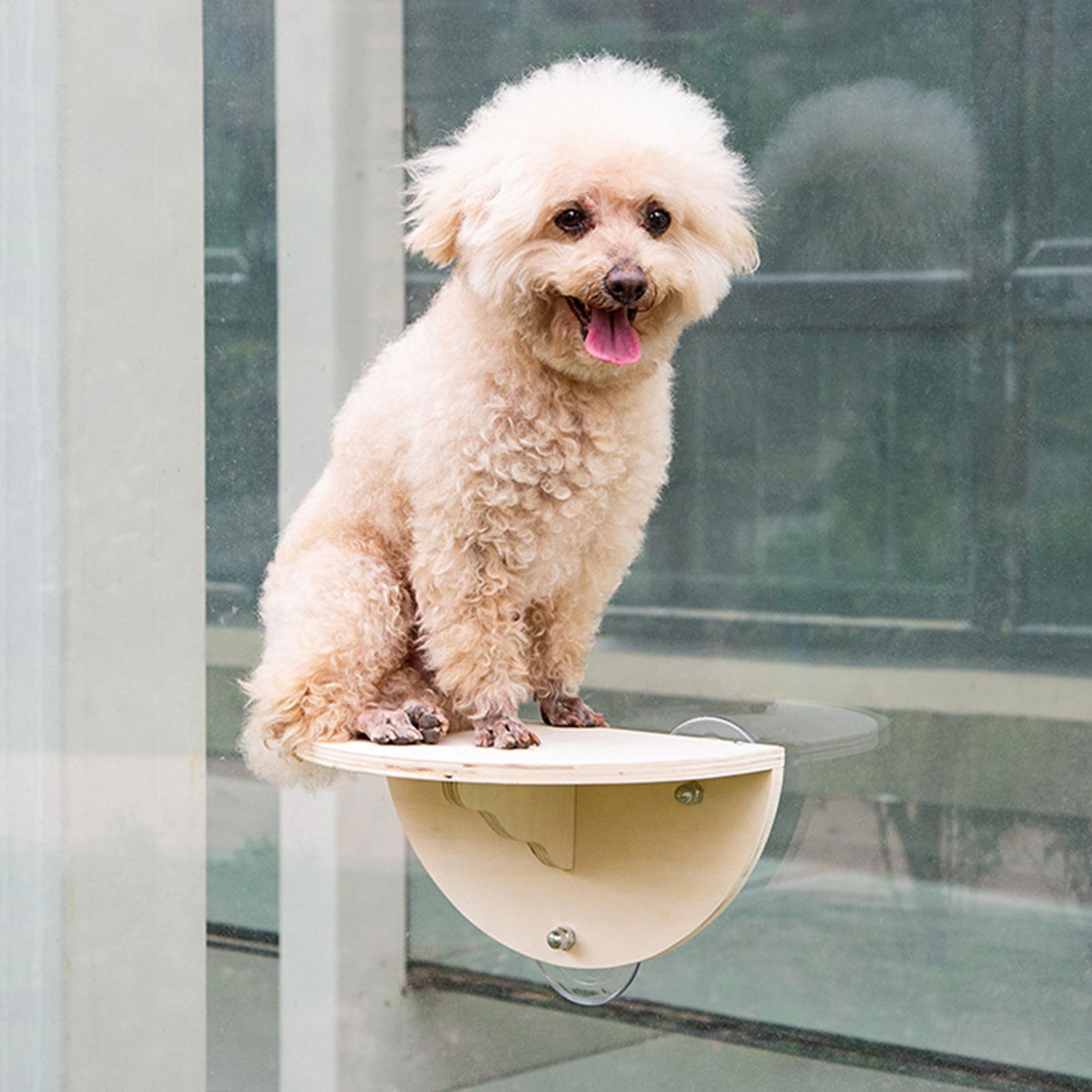 ที่นั่งแมวติดหน้าต่าง ประหยัดพ - Cat Window Perch บทวิจารณ์และราคา