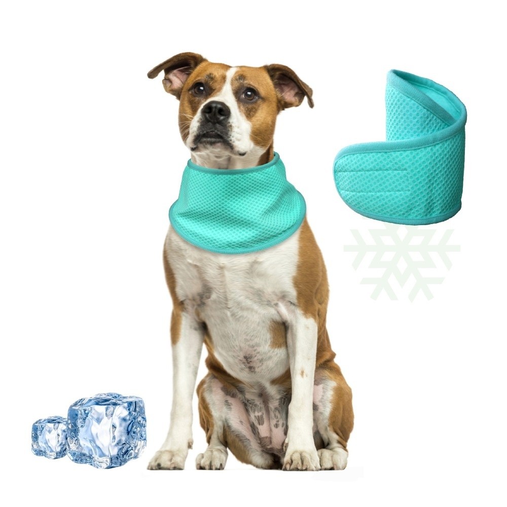 ผ้าพันคอระบายความร้อนสำหรับสุน - Dog Bandana Scarf บทวิจารณ์และราคา