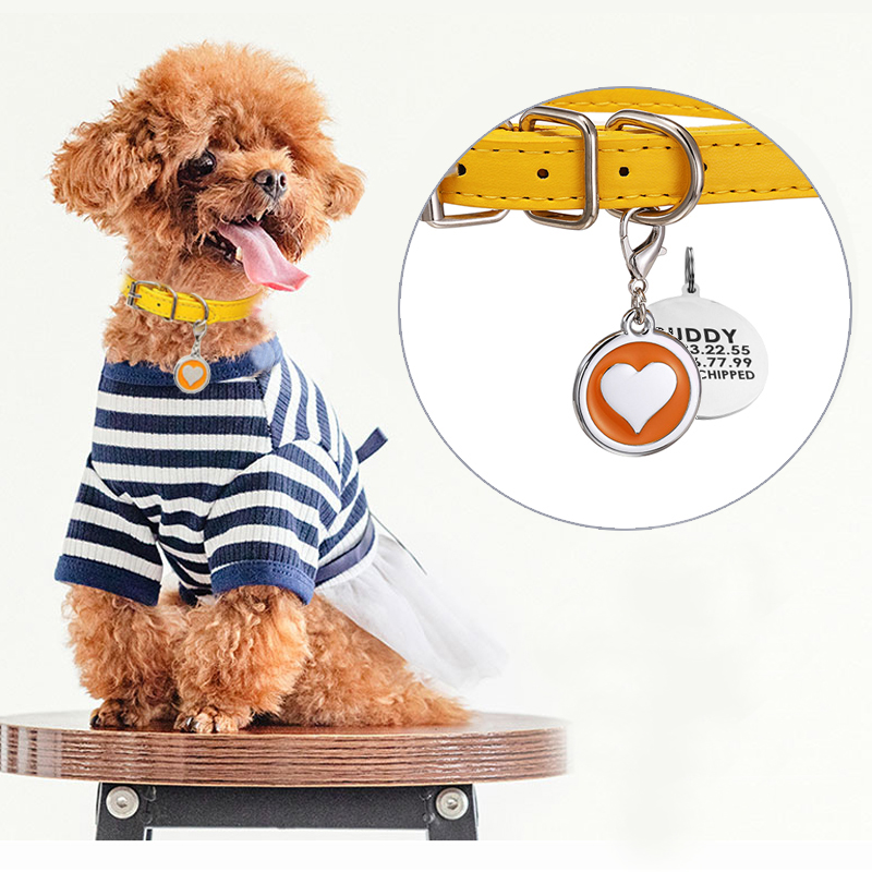 สัตว์เลี้ยงแมวสุนัขหนังโลหะสแต - Pet Supplies Login บทวิจารณ์และราคา