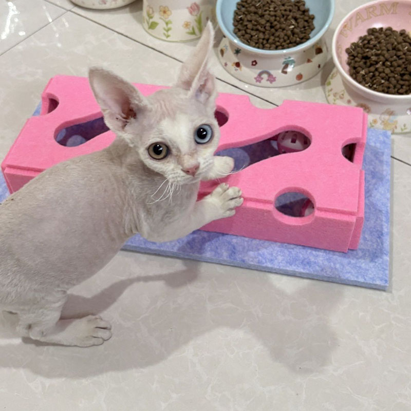 ของเล่นแมวแบบใหม่ กล่องของเล่น - Cat Tunnel Toy บทวิจารณ์และราคา