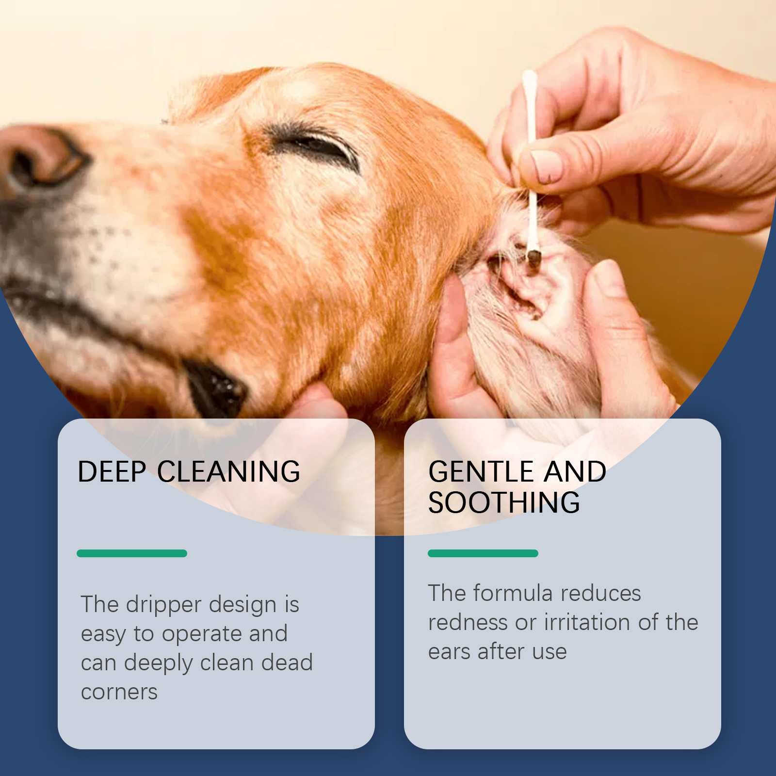 สัตว์เลี้ยงทําความสะอาดหูลบไรห - Pet Ear Cleaner บทวิจารณ์และราคา