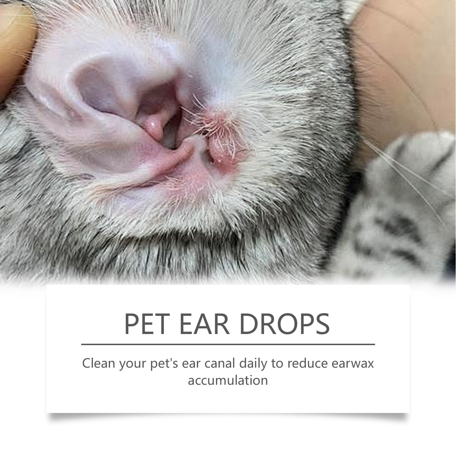 สัตว์เลี้ยงทําความสะอาดหูลบไรห - Pet Ear Cleaner บทวิจารณ์และราคา