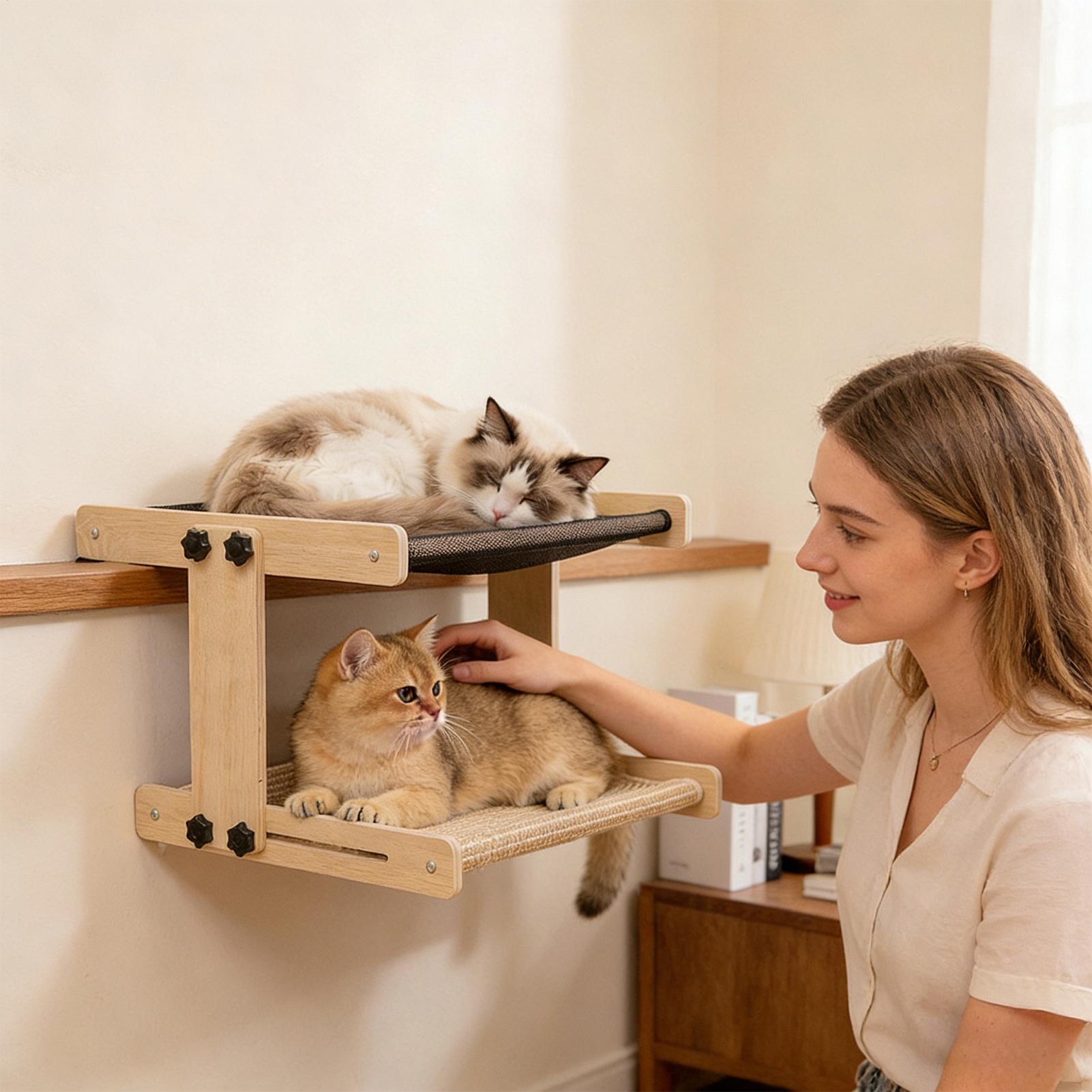 เตียงแมวแบบแขวนหน้าต่าง เฟอร์น - Cat Window Perch บทวิจารณ์และราคา