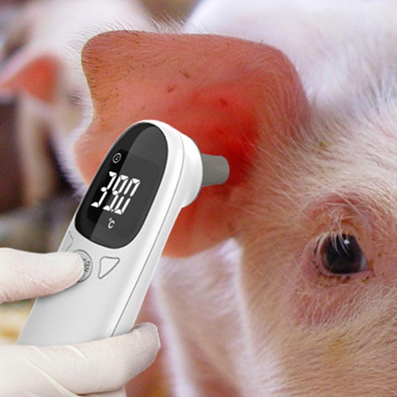 เครื่องวัดอุณหภูมิสัตว์เลี้ยงส - Pet Supplies Vet บทวิจารณ์และราคา