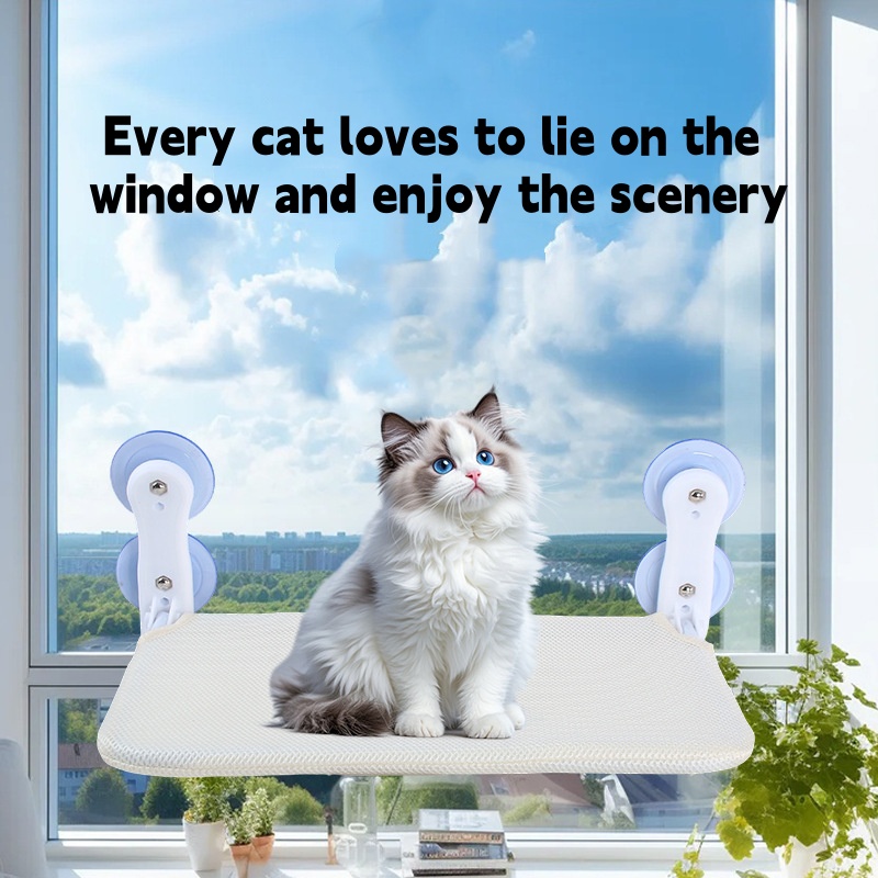 ที่นอนแมวแบบติดหน้าต่างพร้อมถ้ - Cat Window Perch บทวิจารณ์และราคา