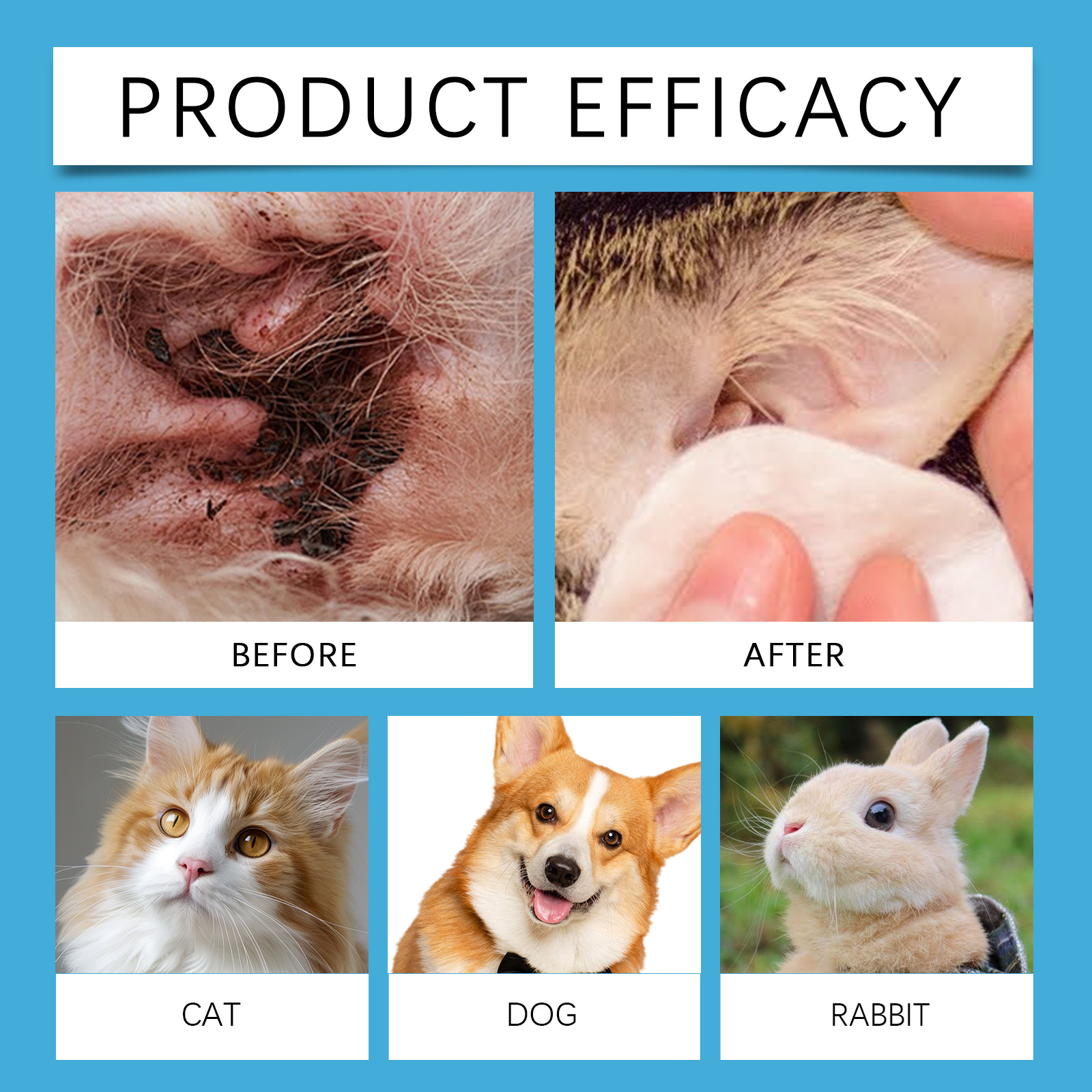 น้ำยาทำความสะอาดหูสัตว์เลี้ยง  - Pet Ear Cleaner บทวิจารณ์และราคา