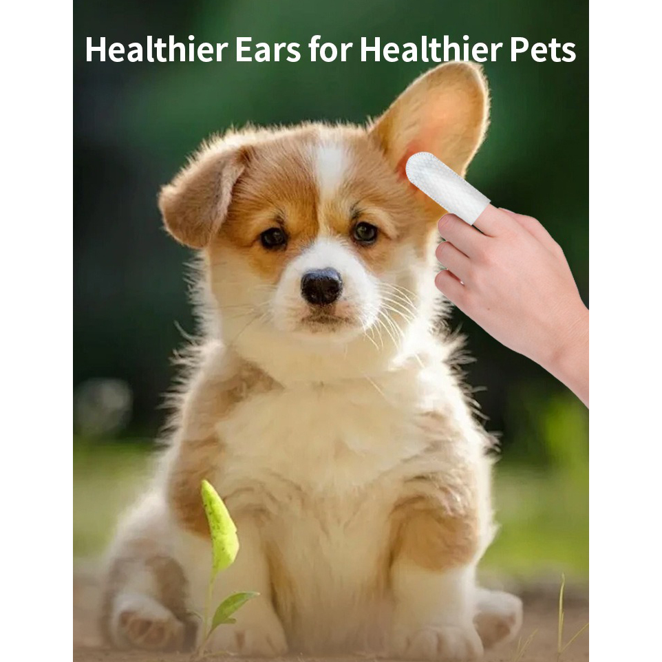 ผลิตภัณฑ์ทำความสะอาดสำหรับสัตว - Pet Ear Cleaner บทวิจารณ์และราคา