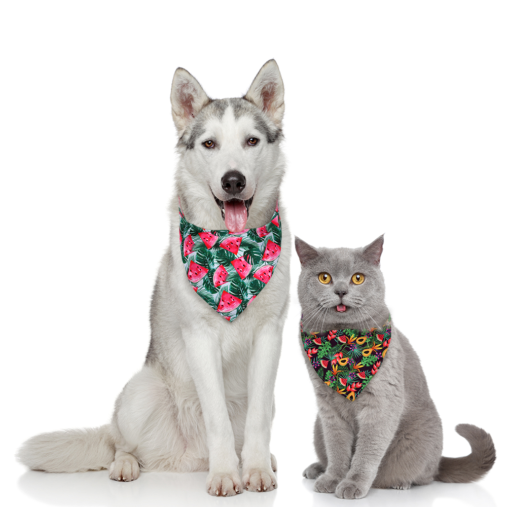 8 ชิ้นผ้าพันคอสุนัขผลไม้สไตล์ผ - Dog Bandana Scarf บทวิจารณ์และราคา