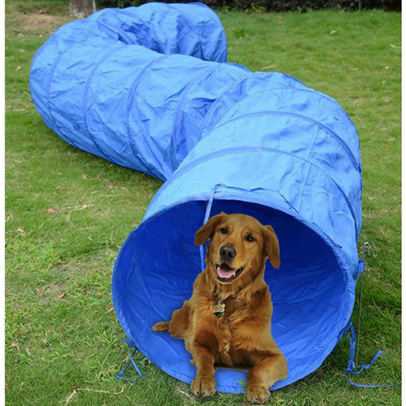 สุนัข Agility อุปกรณ์การฝึกอบร - Cat Tunnel Toy บทวิจารณ์และราคา