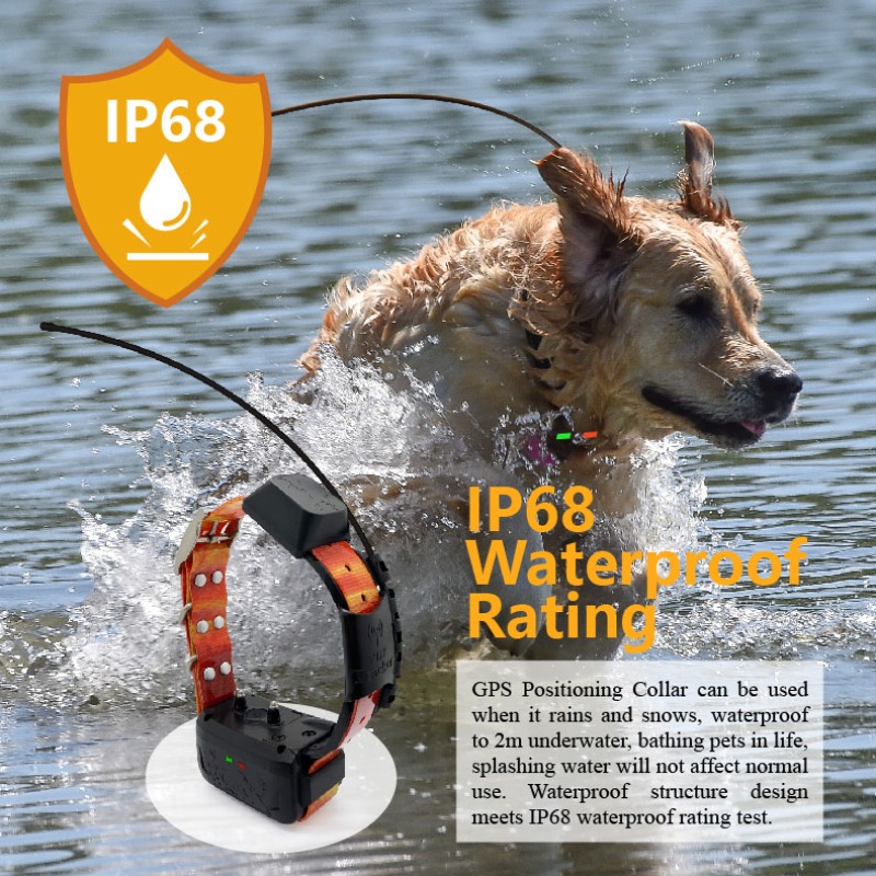 ตัวจัดการรั้ว GPS สำหรับสุนัขใ - Pet Supplies Login บทวิจารณ์และราคา