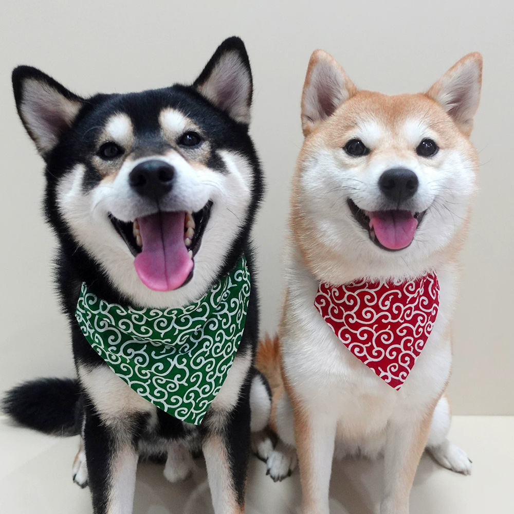 อุปกรณ์เสริมสุนัขใหม่สัตว์เลี้ - Dog Bandana Scarf บทวิจารณ์และราคา