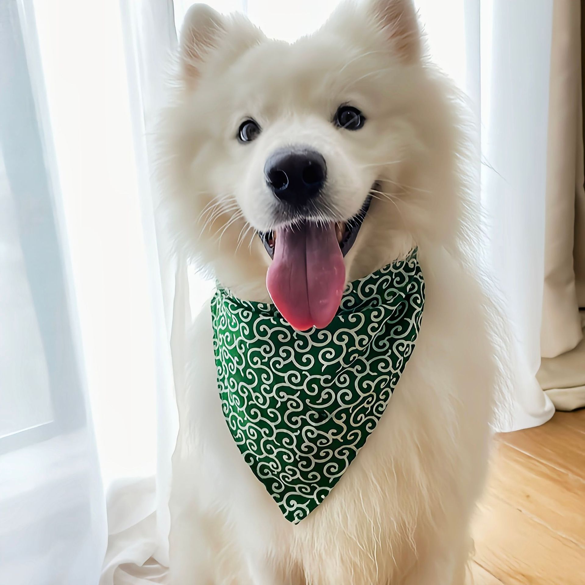 อุปกรณ์เสริมสุนัขใหม่สัตว์เลี้ - Dog Bandana Scarf บทวิจารณ์และราคา
